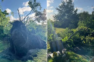 Storm Lilian latest: Fallen trees, train delays, power cuts