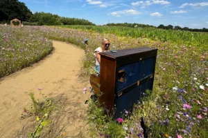 Get lost! YorkMix did – are you in our amaizing picture gallery?