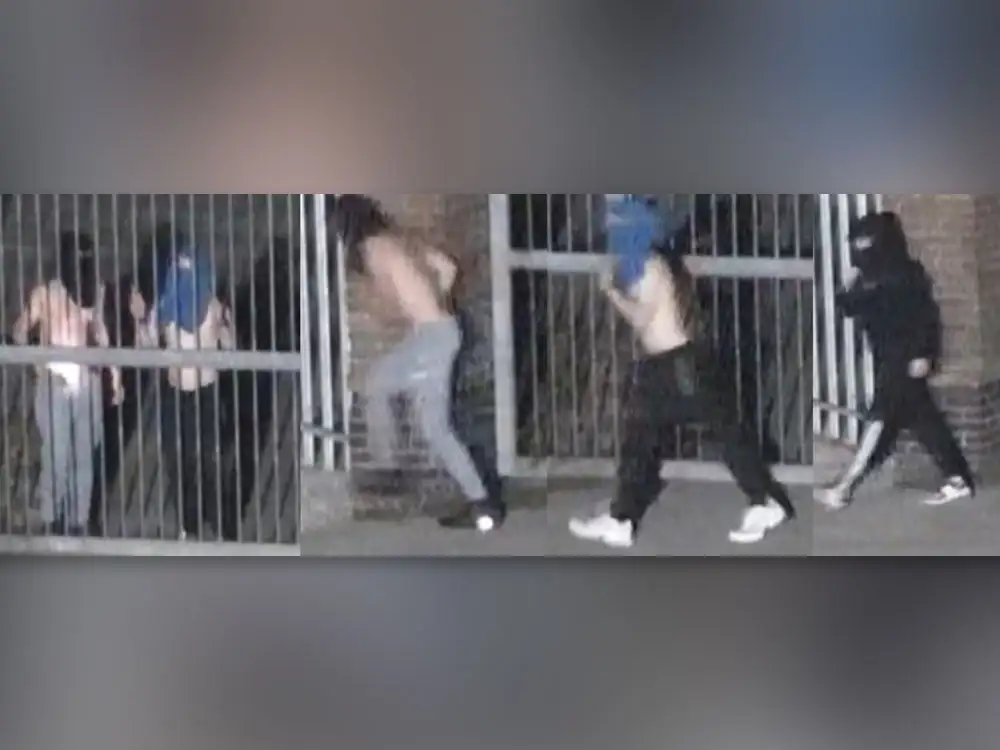Topless men caught on CCTV after raid at seaside village