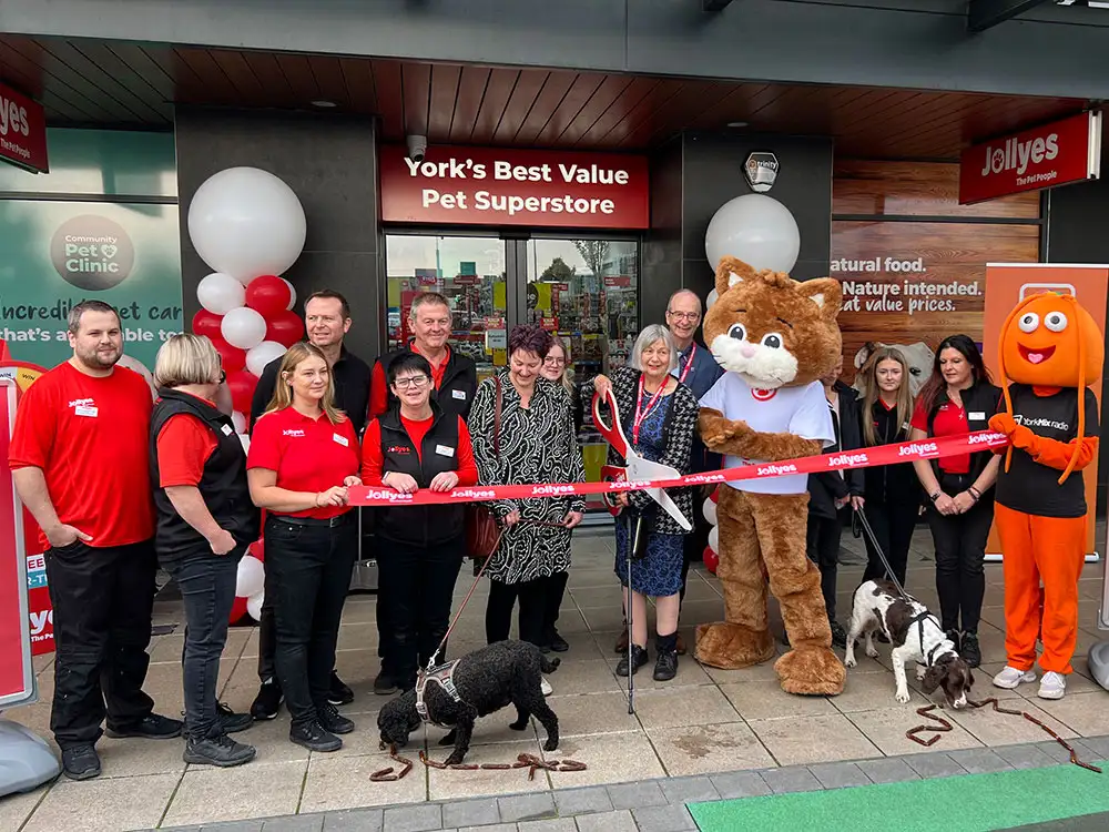 Video and pix: New pet shop opens in York – to the delight of dogs (and their owners!)