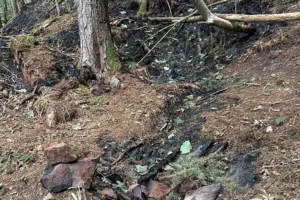 Owner ‘distraught’ after fire destroys acre of historic North Yorkshire woodland
