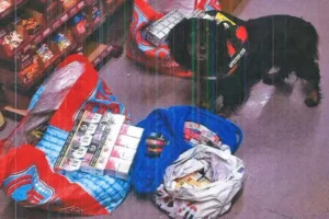York shop stripped of its licence after police seize hundreds of illicit cigarettes