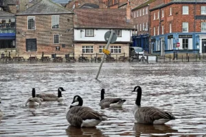 Three flood warnings issued for York as rivers rise