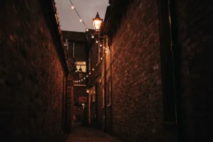 Pictures: York’s snickelways look stunning after being festooned with lights