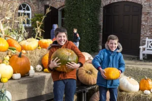 York attraction launches seasonal activities for autumn – with talks and tastings