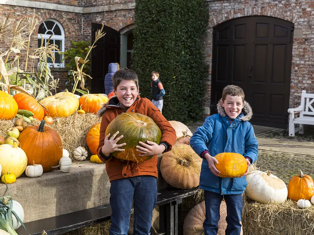 York attraction launches seasonal activities for autumn – with talks and tastings
