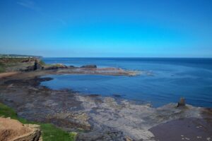 Dead whale ‘too dangerous’ to move from North Yorkshire beach