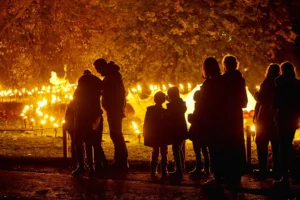A festival of light returns to Scarborough – here are seven illuminating highlights
