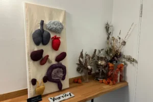Hand-knitted vital organs go sale in York – including a heart, brains and lungs