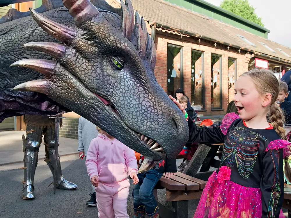 Get ready to meet dragons in York city centre this month
