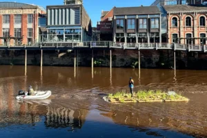 Wildlife island launched on the river in York