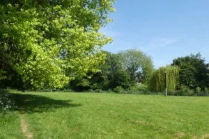 ‘We have a wonderful park community – don’t let a few bad apples rule over us’