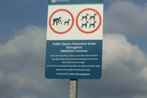 On-the-spot fines plan for ‘repulsive’ offences committed in York