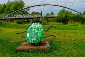 York’s giant beetles have been rehomed – but you can still see them