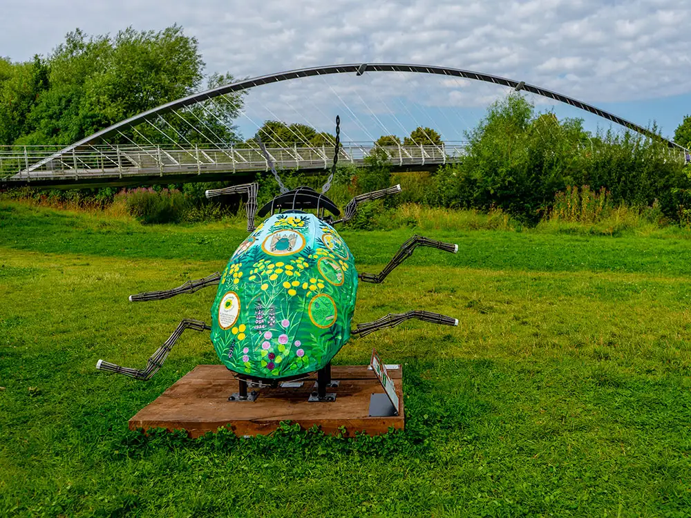 York’s giant beetles have been rehomed – but you can still see them