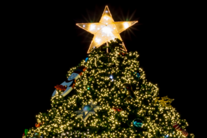 Christmas light switch-ons guide 2024 for York and North Yorkshire