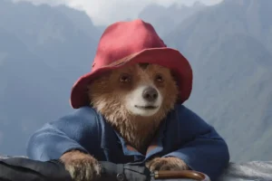 York film preview: Paddington in Peru, Blitz and Aesthetica Short Film Festival