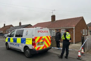 Man denies murder of York pensioner