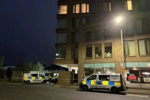 Woman dies after falling from window in York