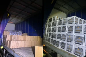 Shock as thousands of bottles stolen from distillery near York