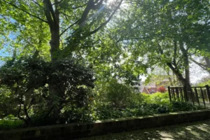 Five places perfect for introverts in York