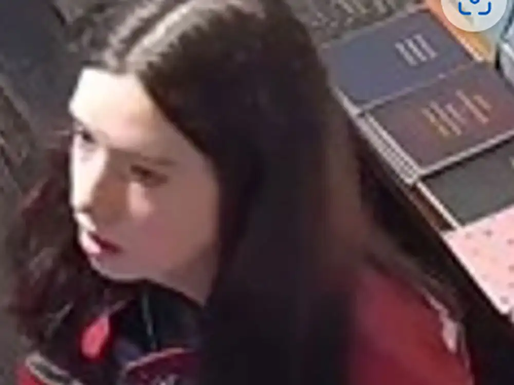 Another theft at York gift shop – police want to talk to this woman