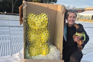 Giant Haribo bear to top the Christmas tree at Yorkshire’s Winter Wonderland