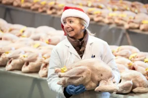 Pictures: Hundreds of birds go under the hammer at the York Auction Centre