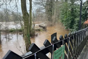 ‘Hugely disappointing’: Santa Specials cancelled due to floods and tree falls