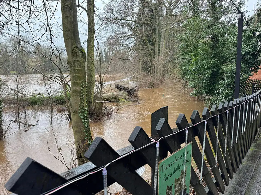 ‘Hugely disappointing’: Santa Specials cancelled due to floods and tree falls
