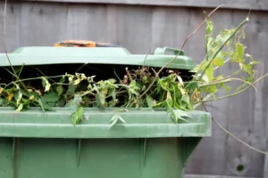 Green waste charges ‘a success’ says York council – amid fears that poorer residents lose out