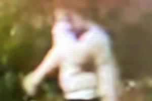 Police issue CCTV after window damaged in Thirsk