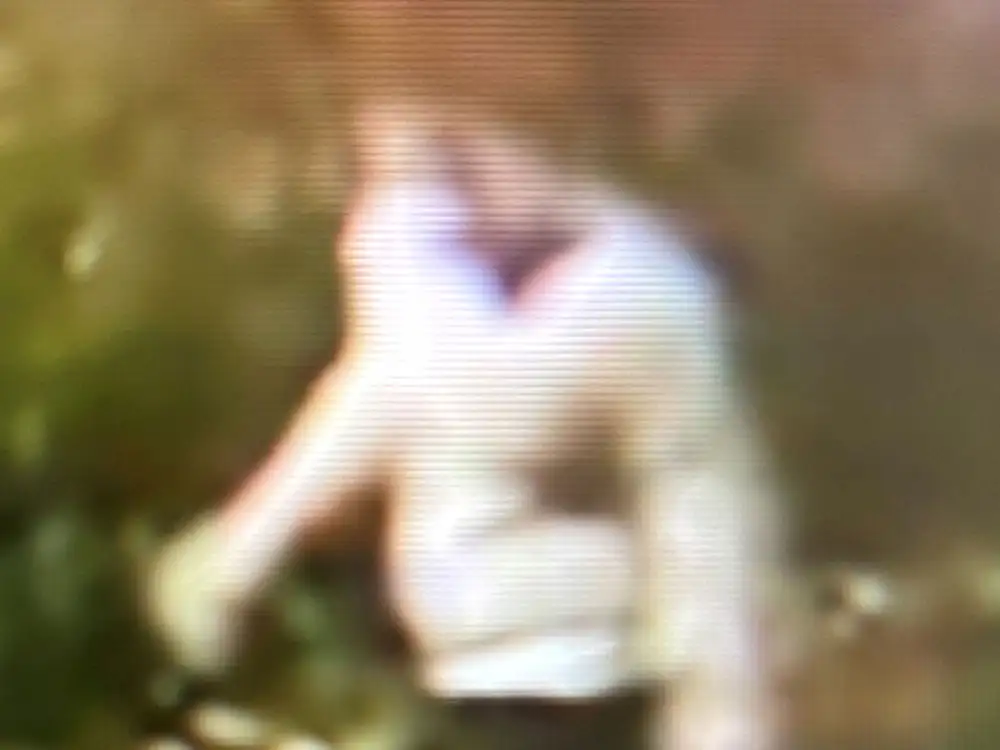 Police issue CCTV after window damaged in Thirsk