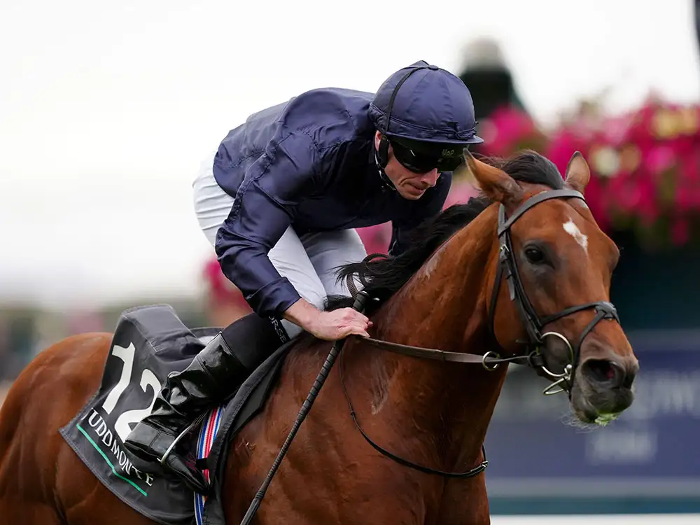 York horserace rated the best in the world