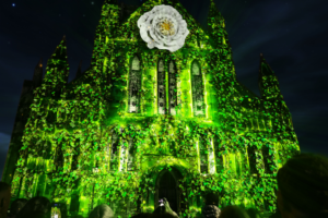 Foxes, horses and dragons to race across York Minster as spectacular light show returns