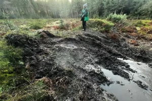 Illegal off-roaders ‘severely damage’ prehistoric site in North Yorkshire national park