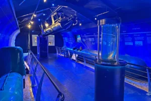 Top North Yorkshire attraction put up for sale by family owners