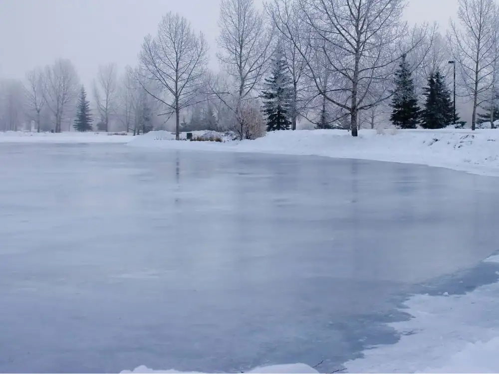 Warning after ‘terrifying incident’ saw man and dog fall through the ice