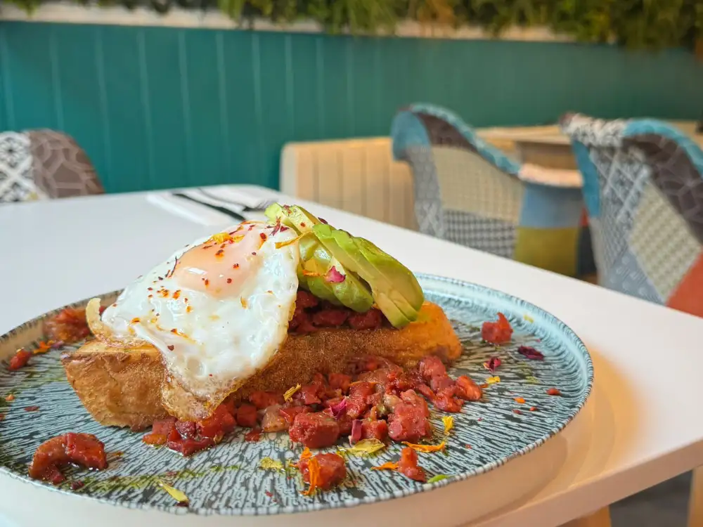 York’s first avocado café is a hit – and you can dine there for half price