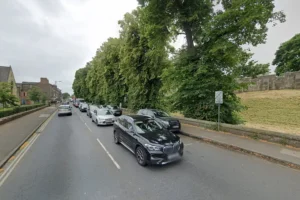 Woman injured during dog fight on busy York street