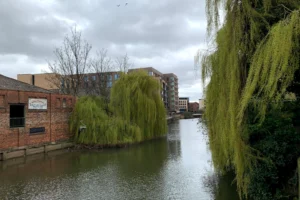 Fears that pollution is doing ‘untold harm’ to York river