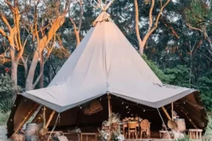 ‘Forest school’ complete with tipi planned for York