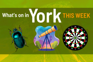 What’s on in York this week