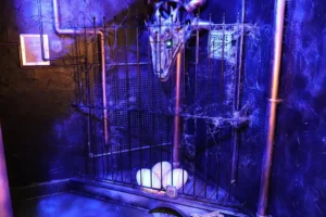A dragon has moved into York – but dare you enter her lair?