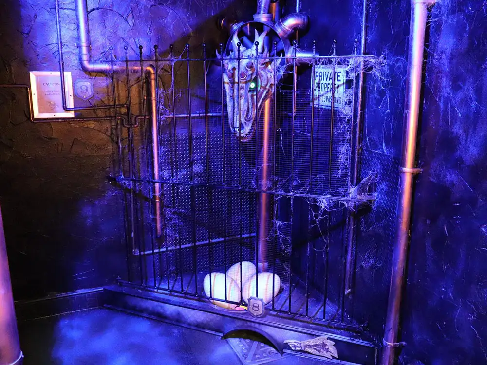 A dragon has moved into York – but dare you enter her lair?