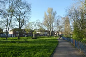New dog park could be coming to York as green space is transformed