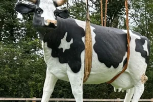 Life-size plastic cow stolen from North Yorkshire village