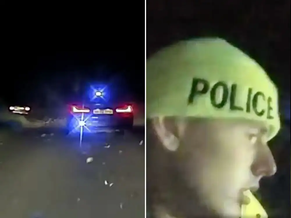 Watch: Police pull shivering fugitive out of a lake after chase