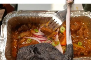 Restaurant fined for serving ostrich curry – with no ostrich