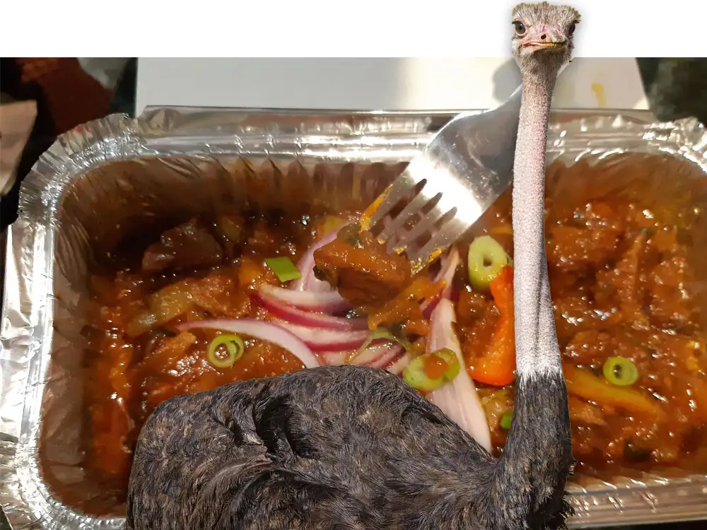 Restaurant fined for serving ostrich curry – with no ostrich